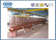 De industriële Diverse Structuur van de het Waterbuis van de de Kopballen Lage Druk van de Staal Elektrische CFB Boiler