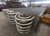 TIG Welded Stainless Steel Condensing-de Natuurlijke Omloop van de Boilereconomiser