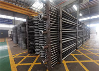 TIG Welded Stainless Steel Condensing-de Natuurlijke Omloop van de Boilereconomiser